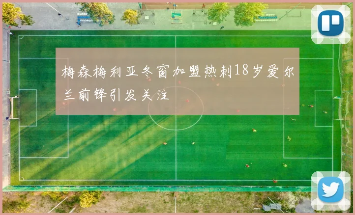 梅森梅利亚冬窗加盟热刺18岁爱尔兰前锋引发关注