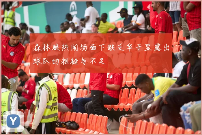 森林狼热闹场面下缺乏华子显露出球队的粗糙与不足