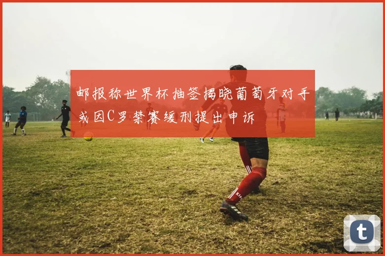 邮报称世界杯抽签揭晓葡萄牙对手或因C罗禁赛缓刑提出申诉