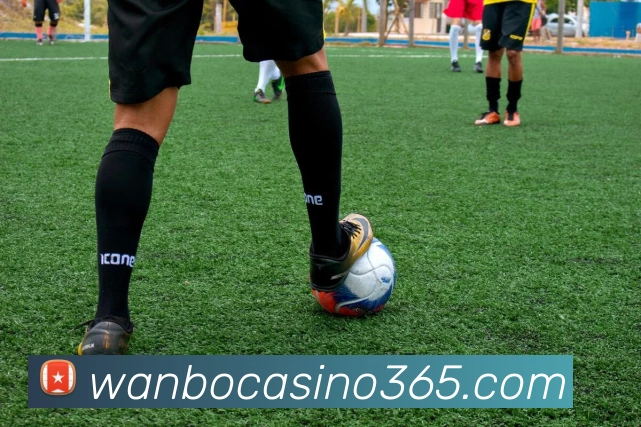 万博真人娱乐平台生态图